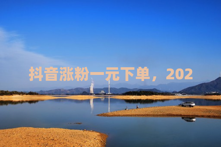 抖音涨粉一元下单，2025年必学独家揭秘！