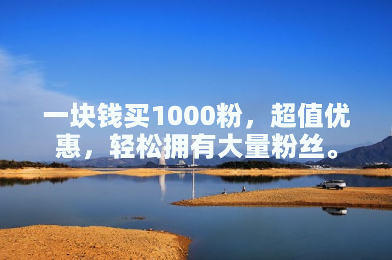 一块钱买1000粉，超值优惠，轻松拥有大量粉丝。