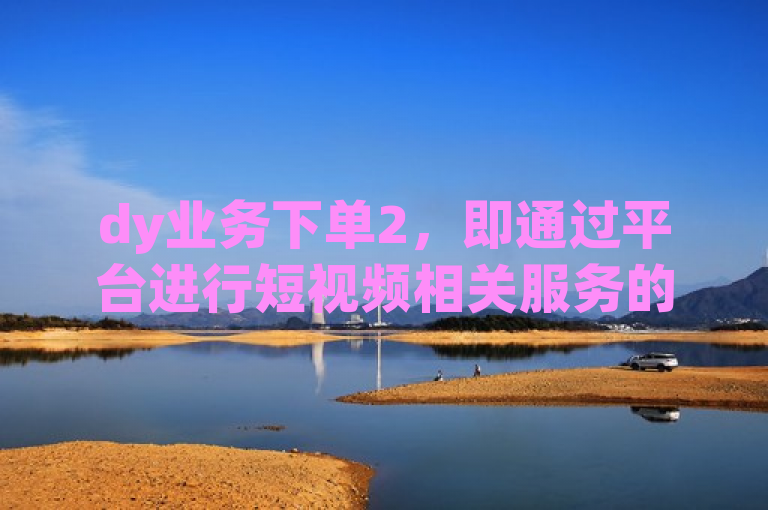 dy业务下单2，即通过平台进行短视频相关服务的购买操作。