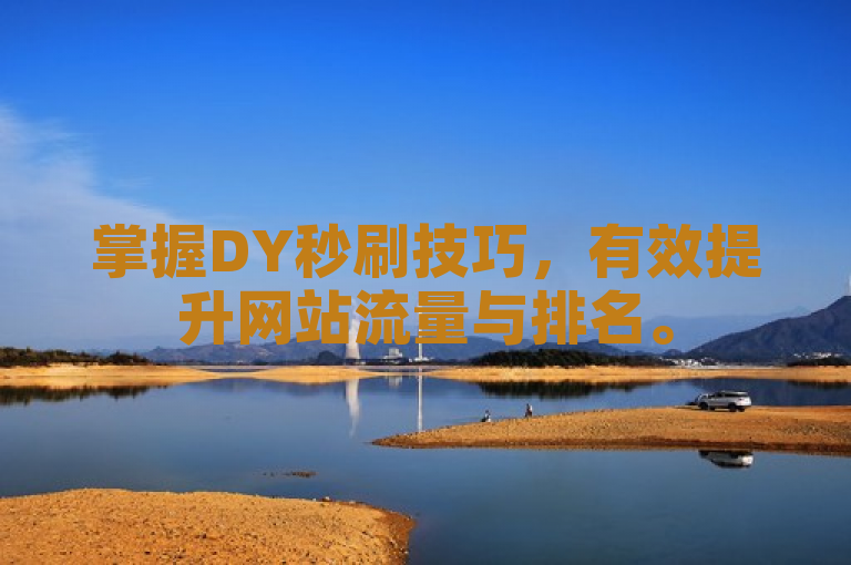 掌握DY秒刷技巧，有效提升网站流量与排名。