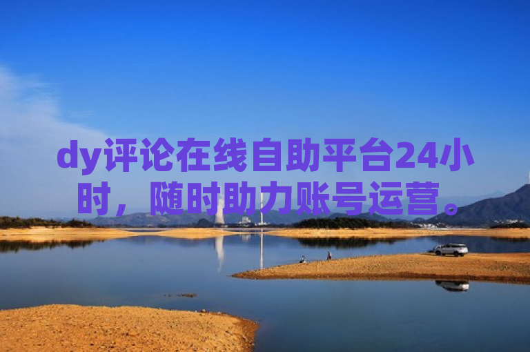 dy评论在线自助平台24小时，随时助力账号运营。