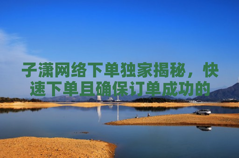 子潇网络下单独家揭秘，快速下单且确保订单成功的2025必学技巧