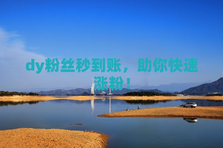 dy粉丝秒到账，助你快速涨粉！