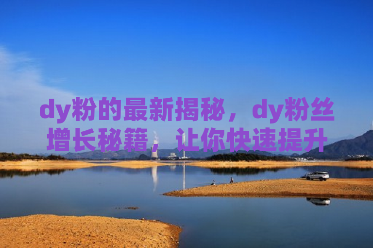 dy粉的最新揭秘，dy粉丝增长秘籍，让你快速提升人气！2024必学。