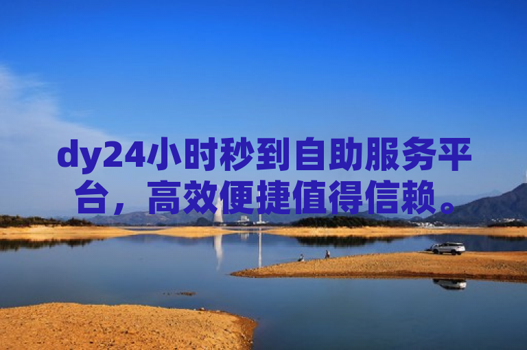 dy24小时秒到自助服务平台，高效便捷值得信赖。