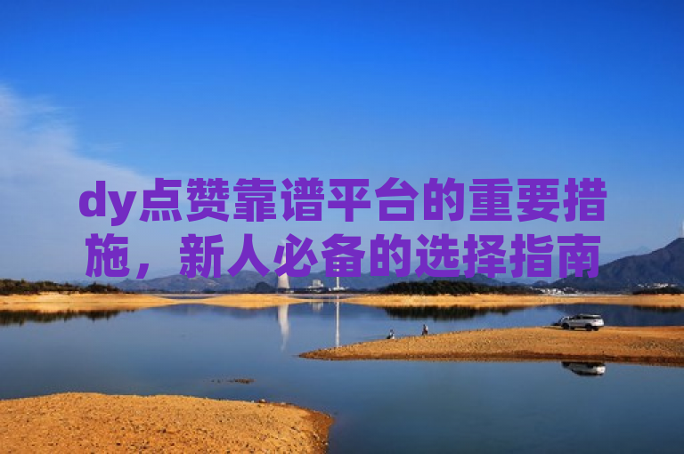 dy点赞靠谱平台的重要措施，新人必备的选择指南！