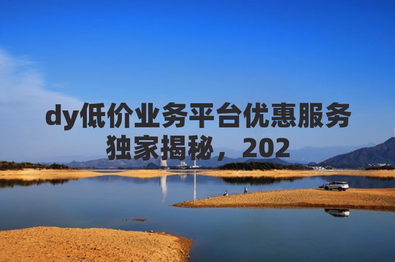 dy低价业务平台优惠服务独家揭秘，2025必学！