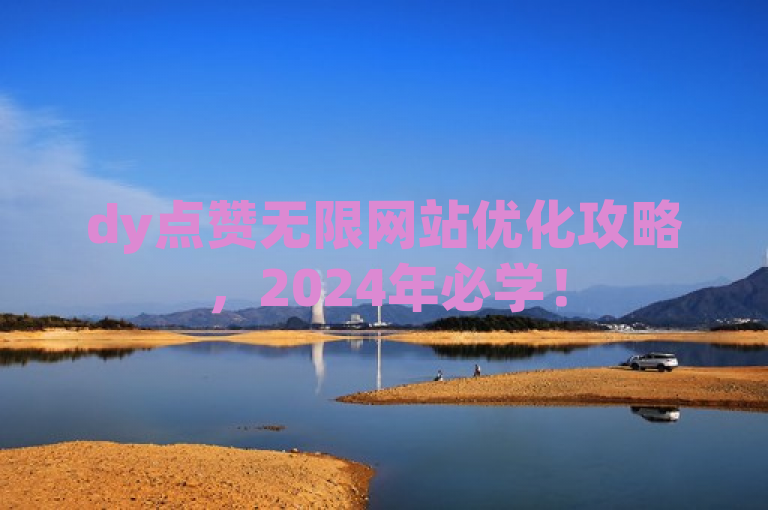 dy点赞无限网站优化攻略，2024年必学！