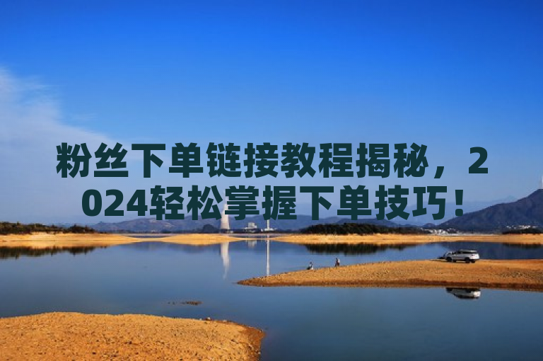 粉丝下单链接教程揭秘，2024轻松掌握下单技巧！