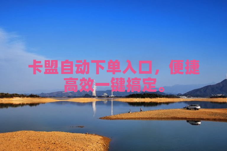 卡盟自动下单入口，便捷高效一键搞定。