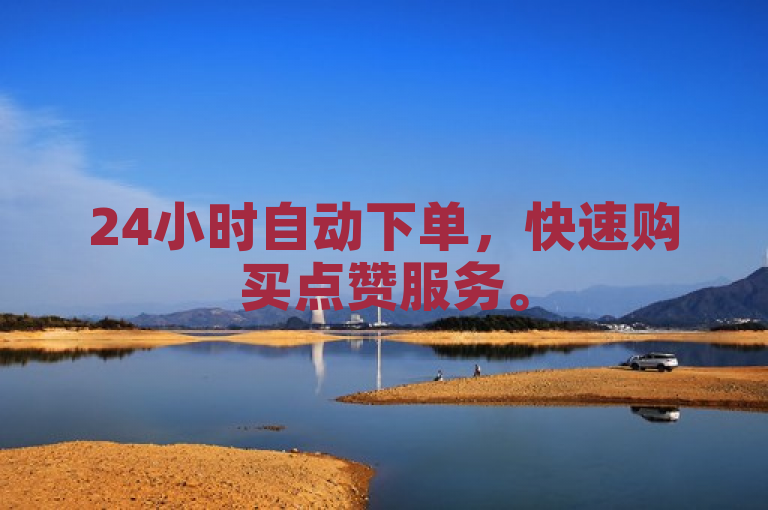 24小时自动下单，快速购买点赞服务。
