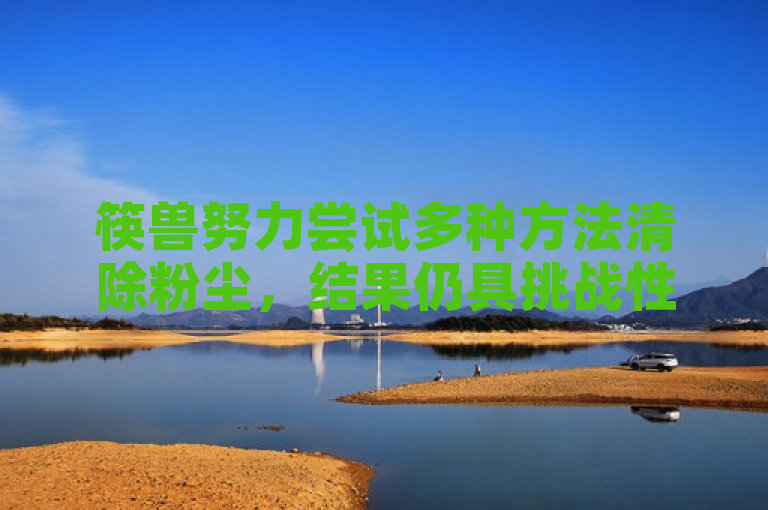 筷兽努力尝试多种方法清除粉尘，结果仍具挑战性。