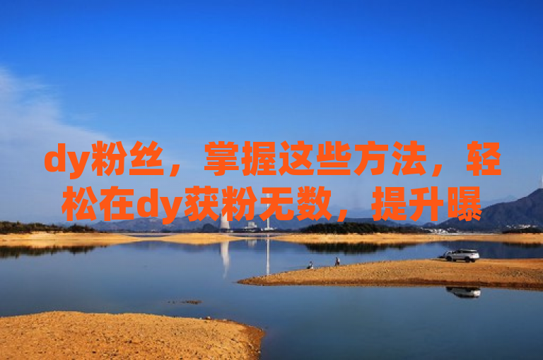 dy粉丝，掌握这些方法，轻松在dy获粉无数，提升曝光度！