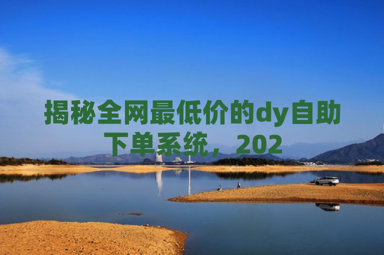 揭秘全网最低价的dy自助下单系统，2025必学！