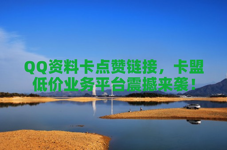 QQ资料卡点赞链接，卡盟低价业务平台震撼来袭！