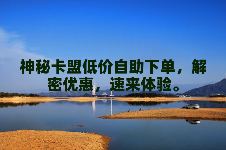 神秘卡盟低价自助下单，解密优惠，速来体验。