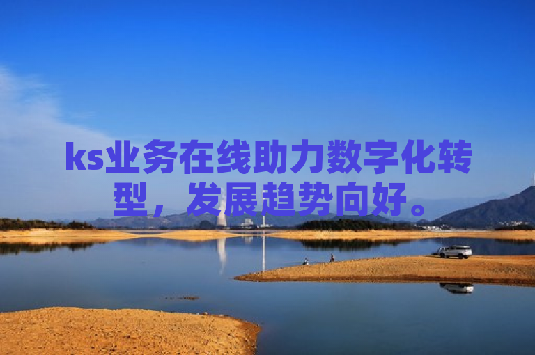ks业务在线助力数字化转型，发展趋势向好。