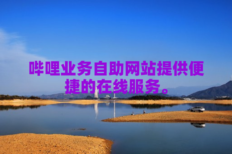 哔哩业务自助网站提供便捷的在线服务。