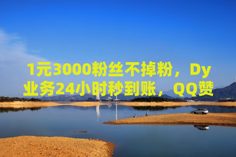 1元3000粉丝不掉粉，Dy业务24小时秒到账，QQ赞网站助力探索无界。