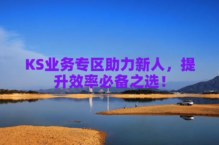 KS业务专区助力新人，提升效率必备之选！
