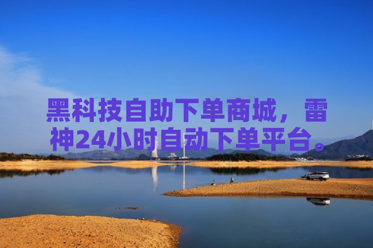 黑科技自助下单商城，雷神24小时自动下单平台。