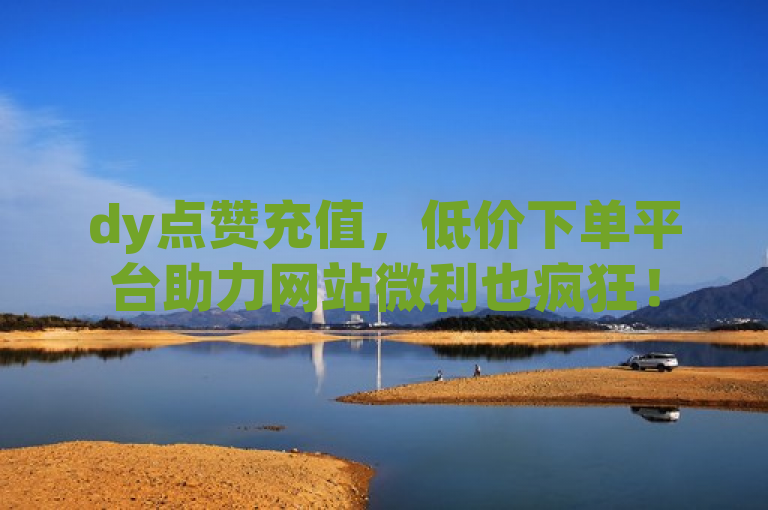 dy点赞充值，低价下单平台助力网站微利也疯狂！