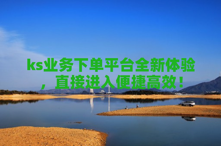 ks业务下单平台全新体验，直接进入便捷高效！