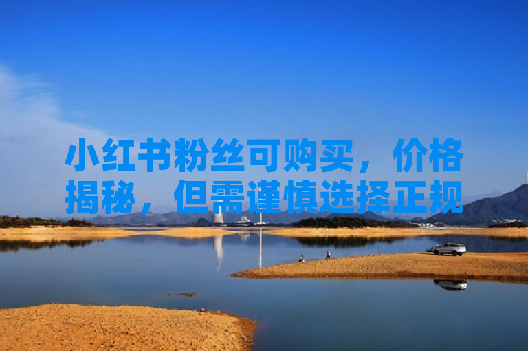 小红书粉丝可购买，价格揭秘，但需谨慎选择正规渠道。