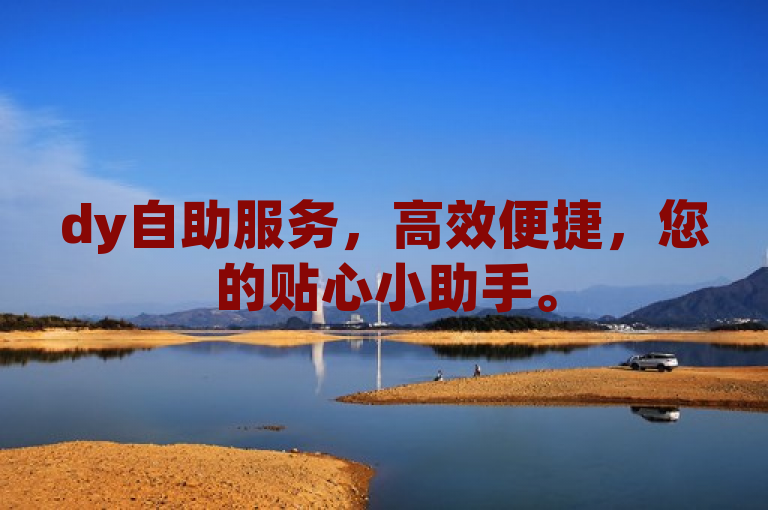 dy自助服务，高效便捷，您的贴心小助手。