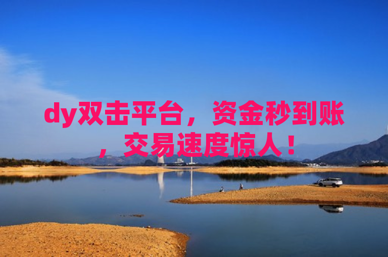 dy双击平台，资金秒到账，交易速度惊人！