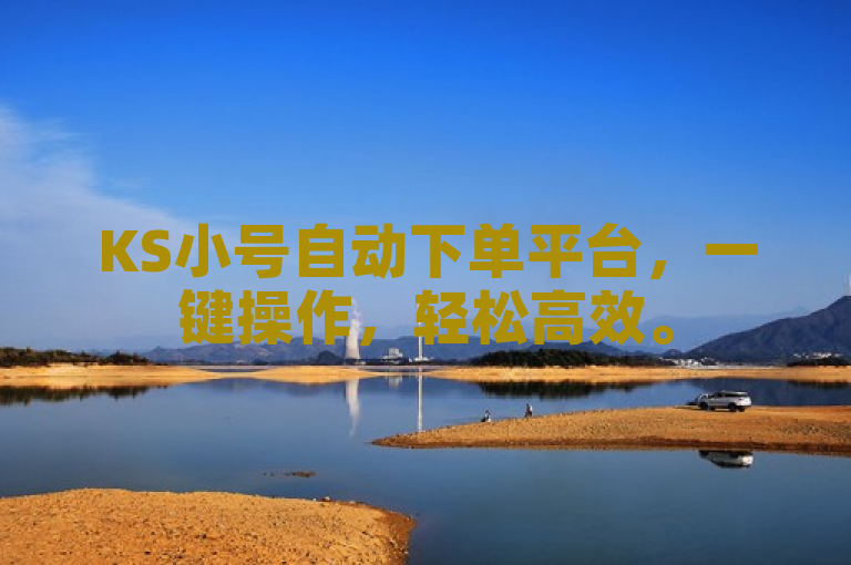 KS小号自动下单平台，一键操作，轻松高效。