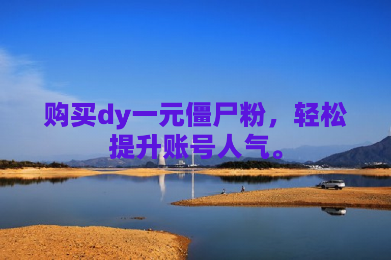 购买dy一元僵尸粉，轻松提升账号人气。