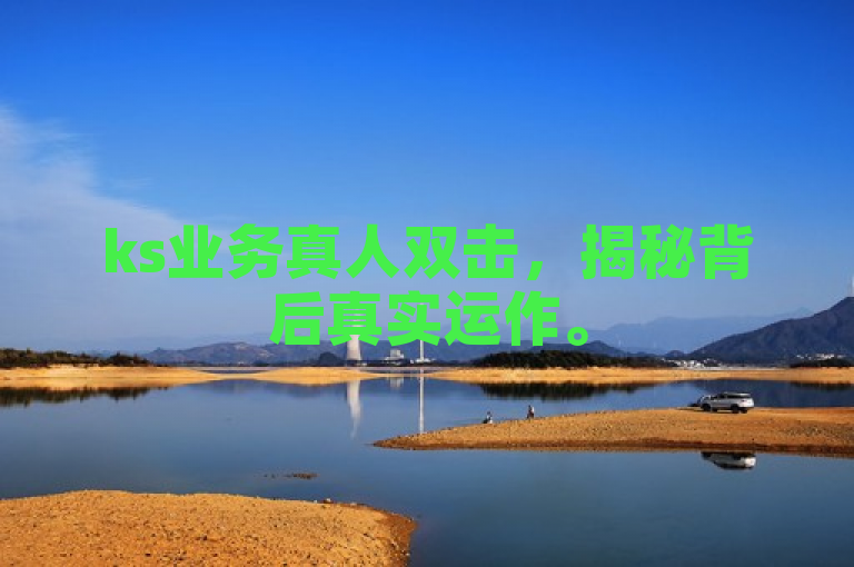 ks业务真人双击，揭秘背后真实运作。