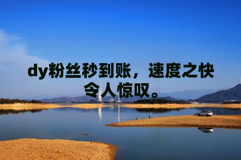 dy粉丝秒到账，速度之快令人惊叹。