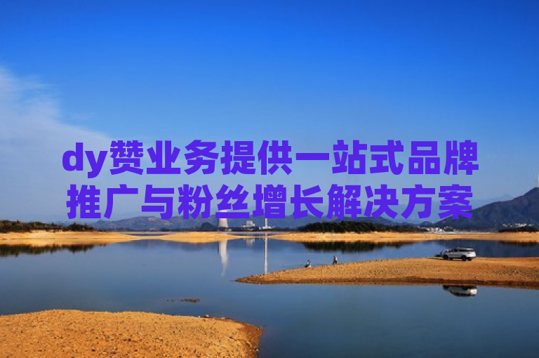dy赞业务提供一站式品牌推广与粉丝增长解决方案。