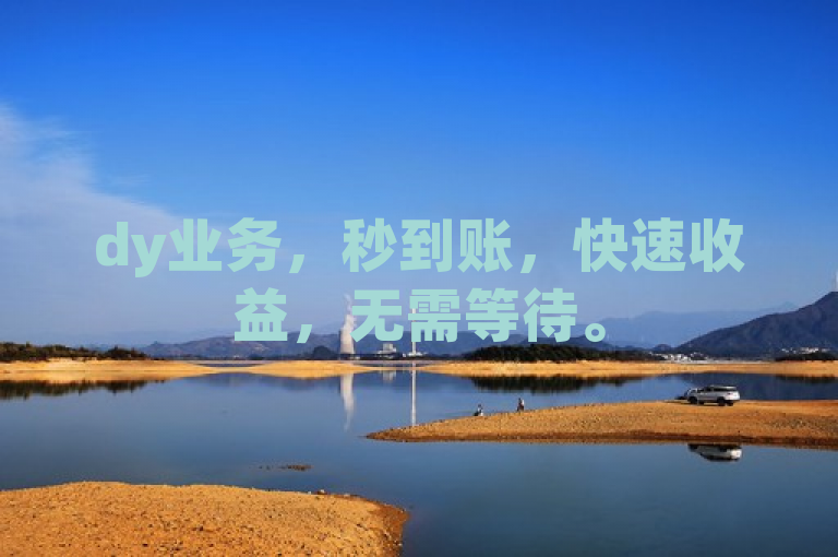 dy业务，秒到账，快速收益，无需等待。