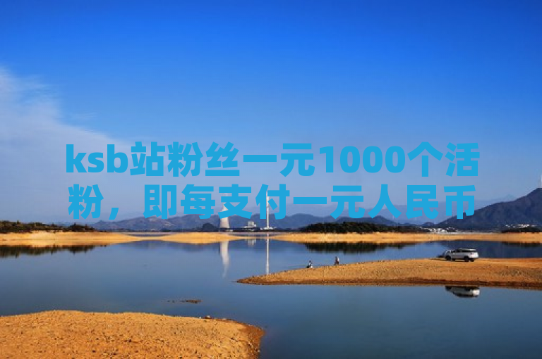 ksb站粉丝一元1000个活粉，即每支付一元人民币即可增加1000名活跃粉丝。