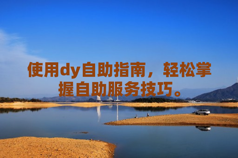 使用dy自助指南，轻松掌握自助服务技巧。