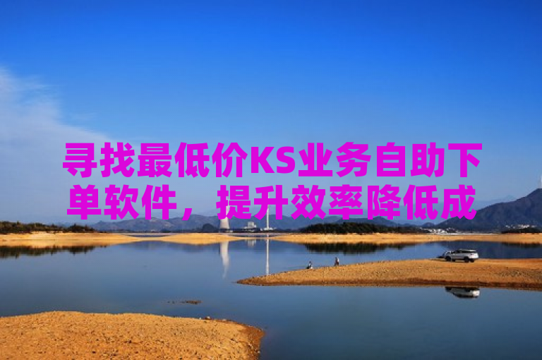 寻找最低价KS业务自助下单软件，提升效率降低成本。