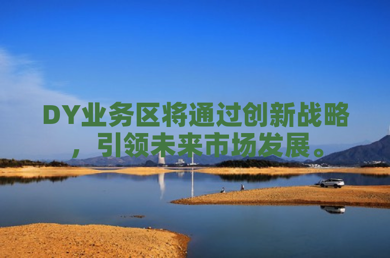 DY业务区将通过创新战略，引领未来市场发展。
