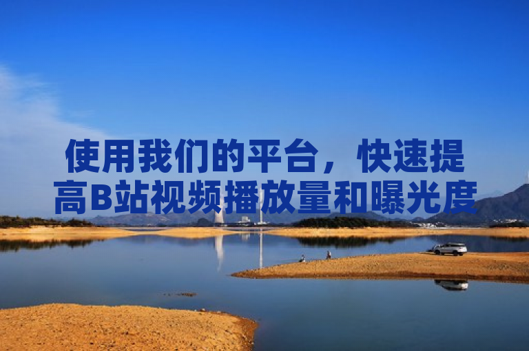 使用我们的平台，快速提高B站视频播放量和曝光度！