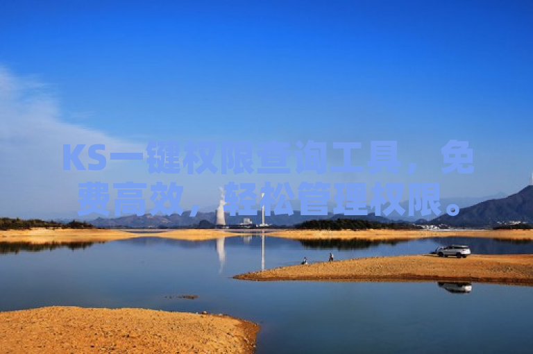 KS一键权限查询工具，免费高效，轻松管理权限。