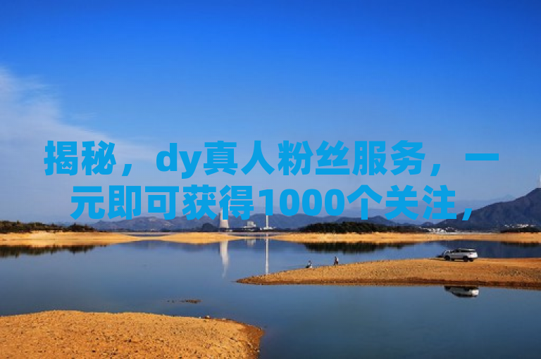 揭秘，dy真人粉丝服务，一元即可获得1000个关注，2025必备技巧！