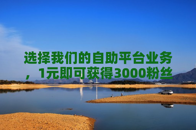 选择我们的自助平台业务，1元即可获得3000粉丝，保证不掉粉。