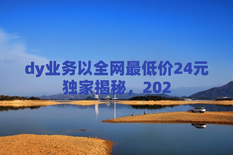 dy业务以全网最低价24元独家揭秘，2025必学！