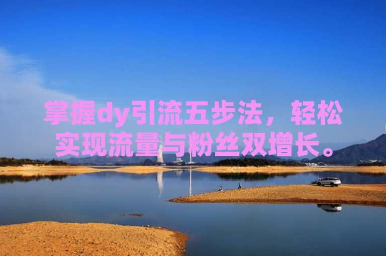 掌握dy引流五步法，轻松实现流量与粉丝双增长。