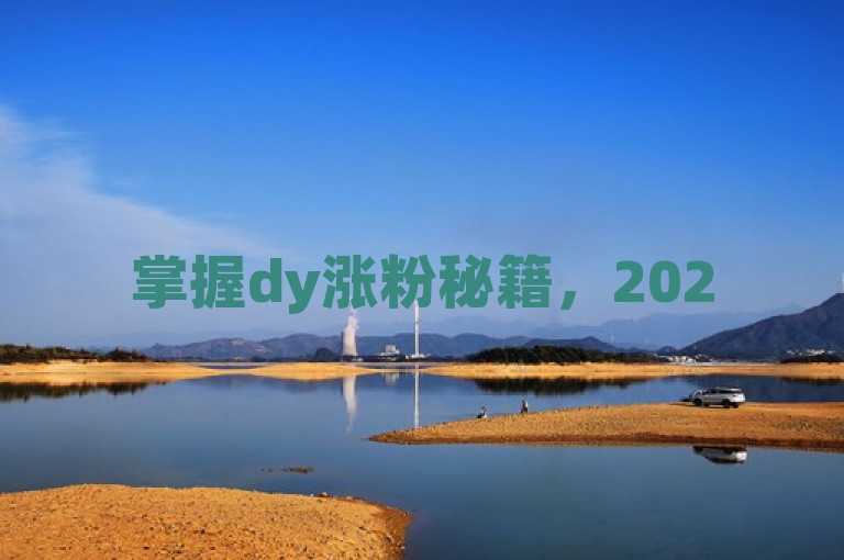掌握dy涨粉秘籍，2025年轻松实现粉丝增长！