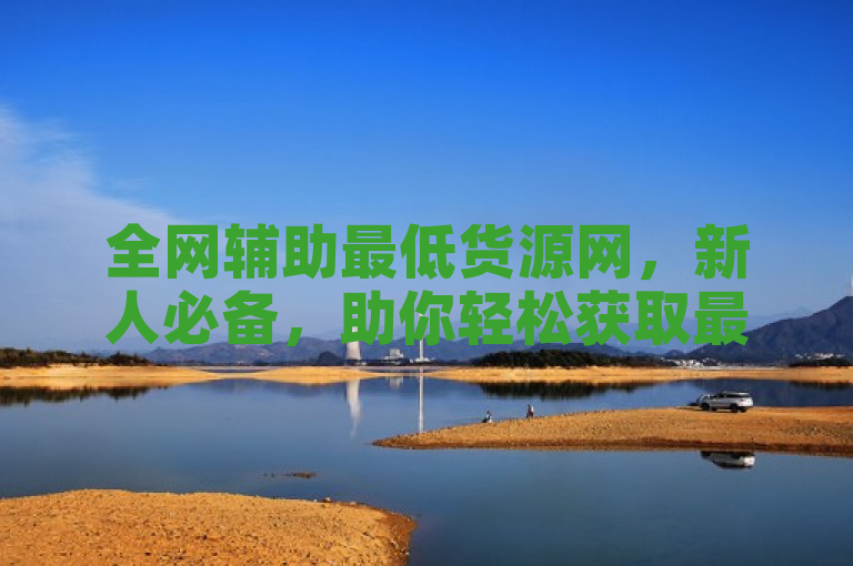全网辅助最低货源网，新人必备，助你轻松获取最低成本货源！