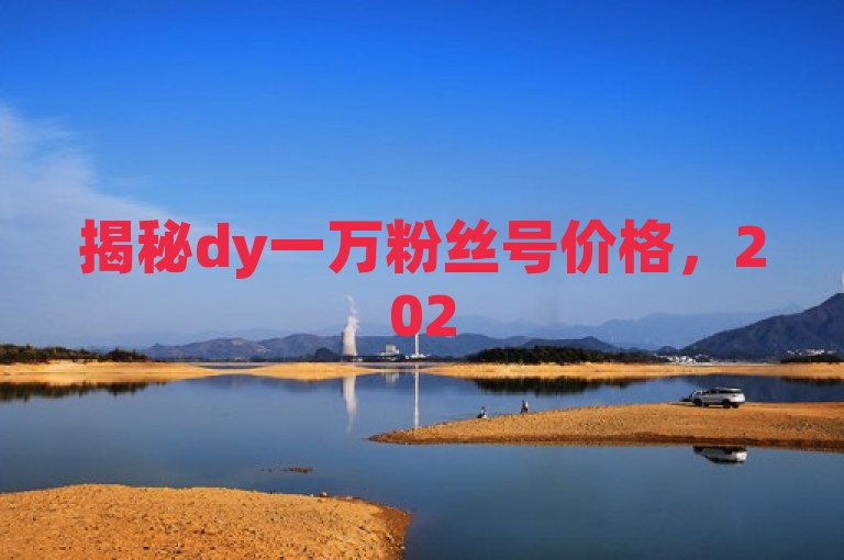 揭秘dy一万粉丝号价格，2025年投资必学！