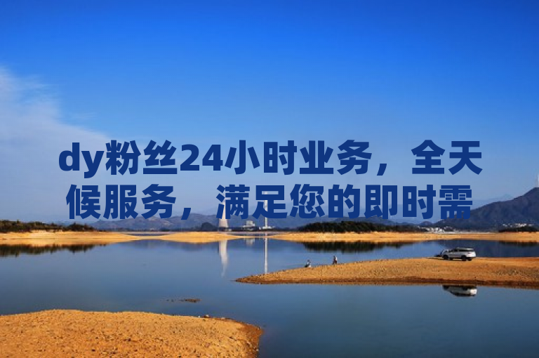 dy粉丝24小时业务，全天候服务，满足您的即时需求。